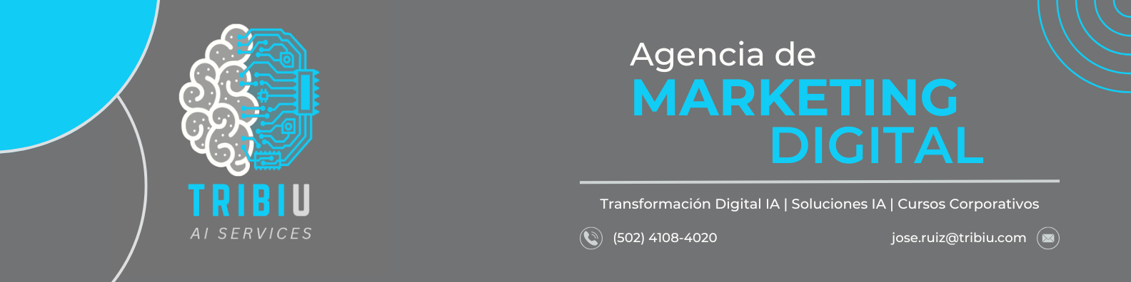 TRIBIU - Agencia de Marketing Digital